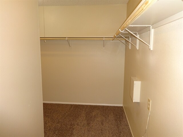 Building Photo - 4611 Camas
