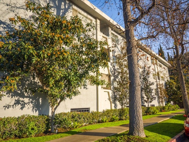 Building Photo - Modern 1-Bedroom Apartment in Prime Sherman Oaks