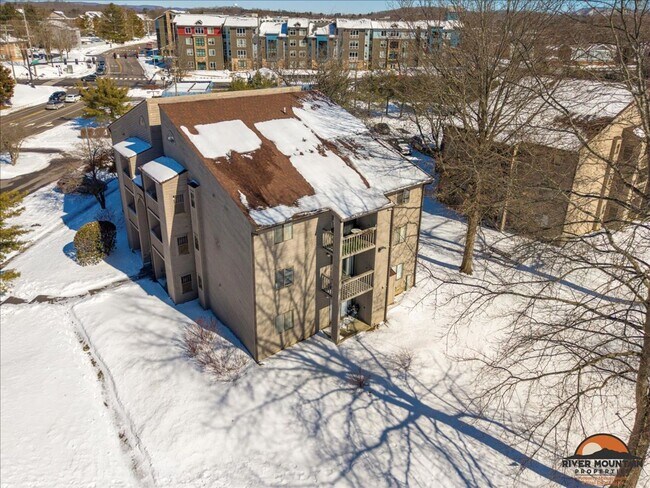 Building Photo - Large Efficiency minutes from Virginia Tech