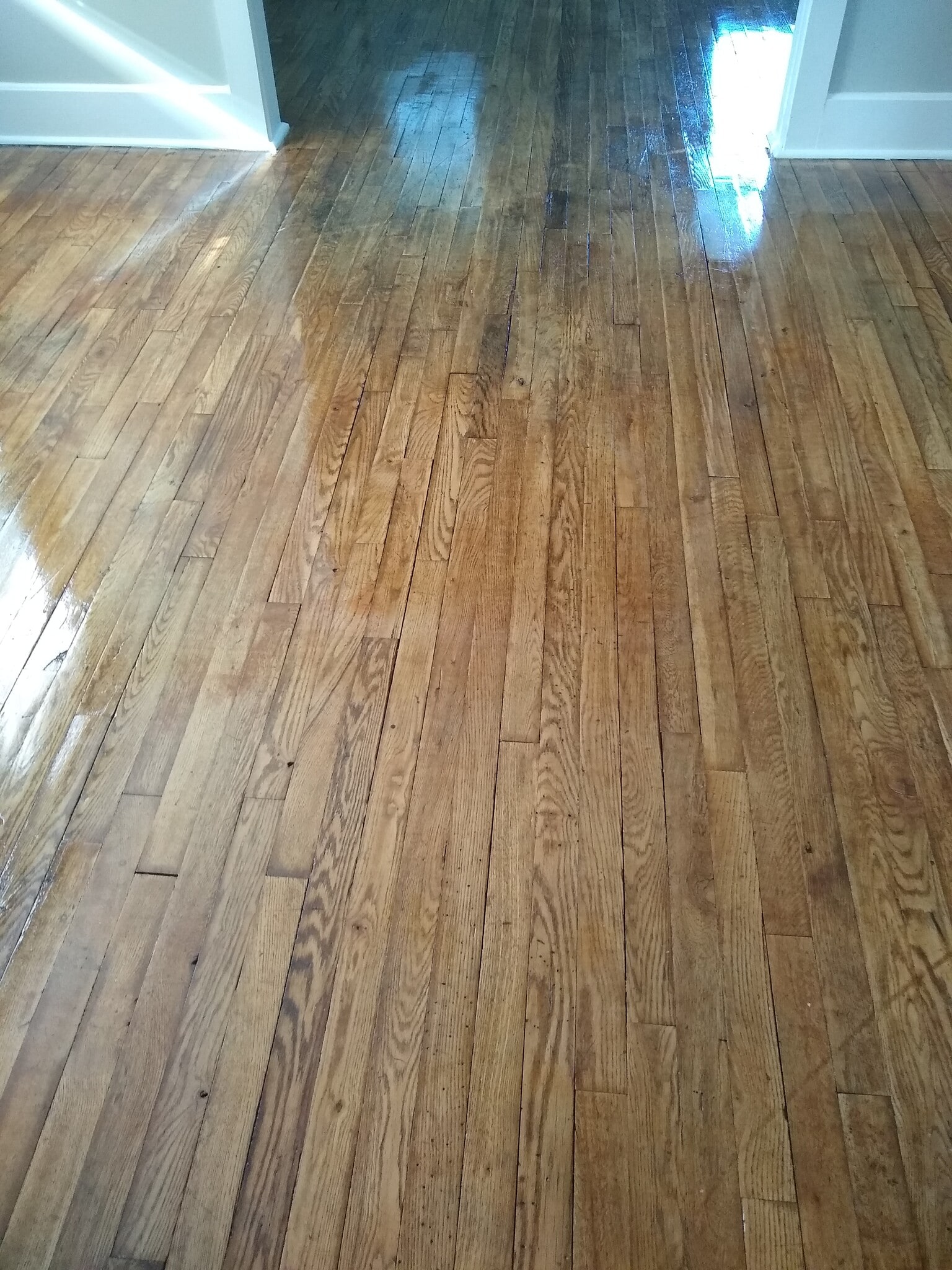 Building Photo - 1726 Washington St E