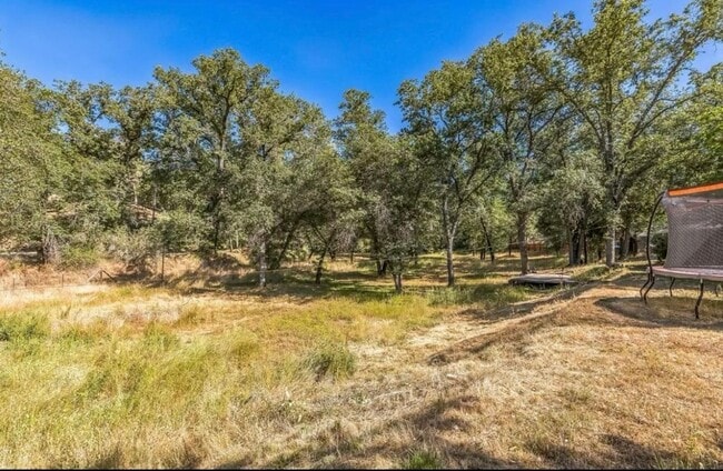 Building Photo - Peaceful Country Living in a Spacious Single-Story Home
