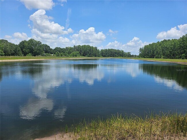 Building Photo - 2205 Cerulean Sky Dr