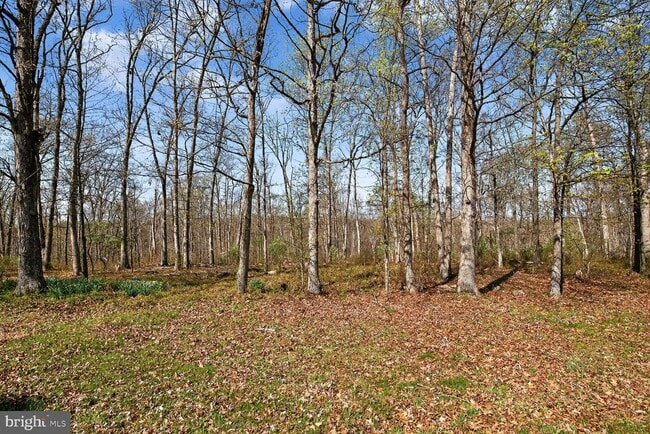 Building Photo - 21733 Oatlands Rd