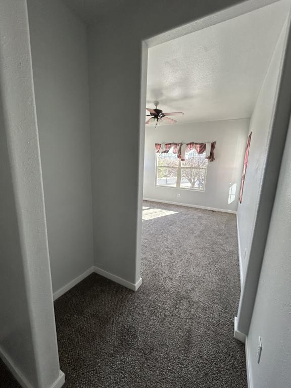 Building Photo - 3532 Rio Bravo Dr