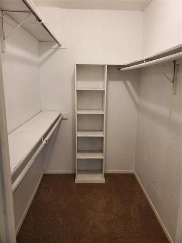 Building Photo - 8828 Las Vegas Ct