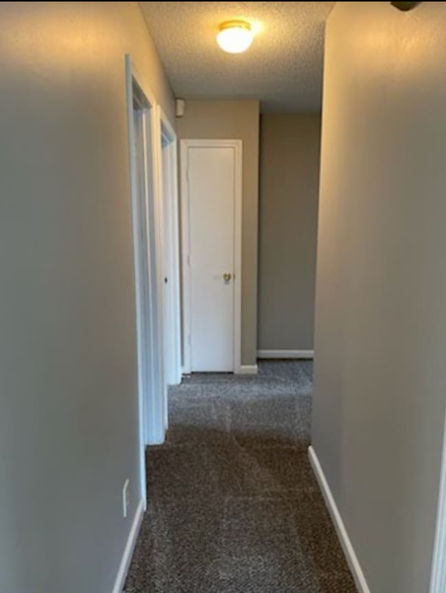 Building Photo - 440 Terrier Way