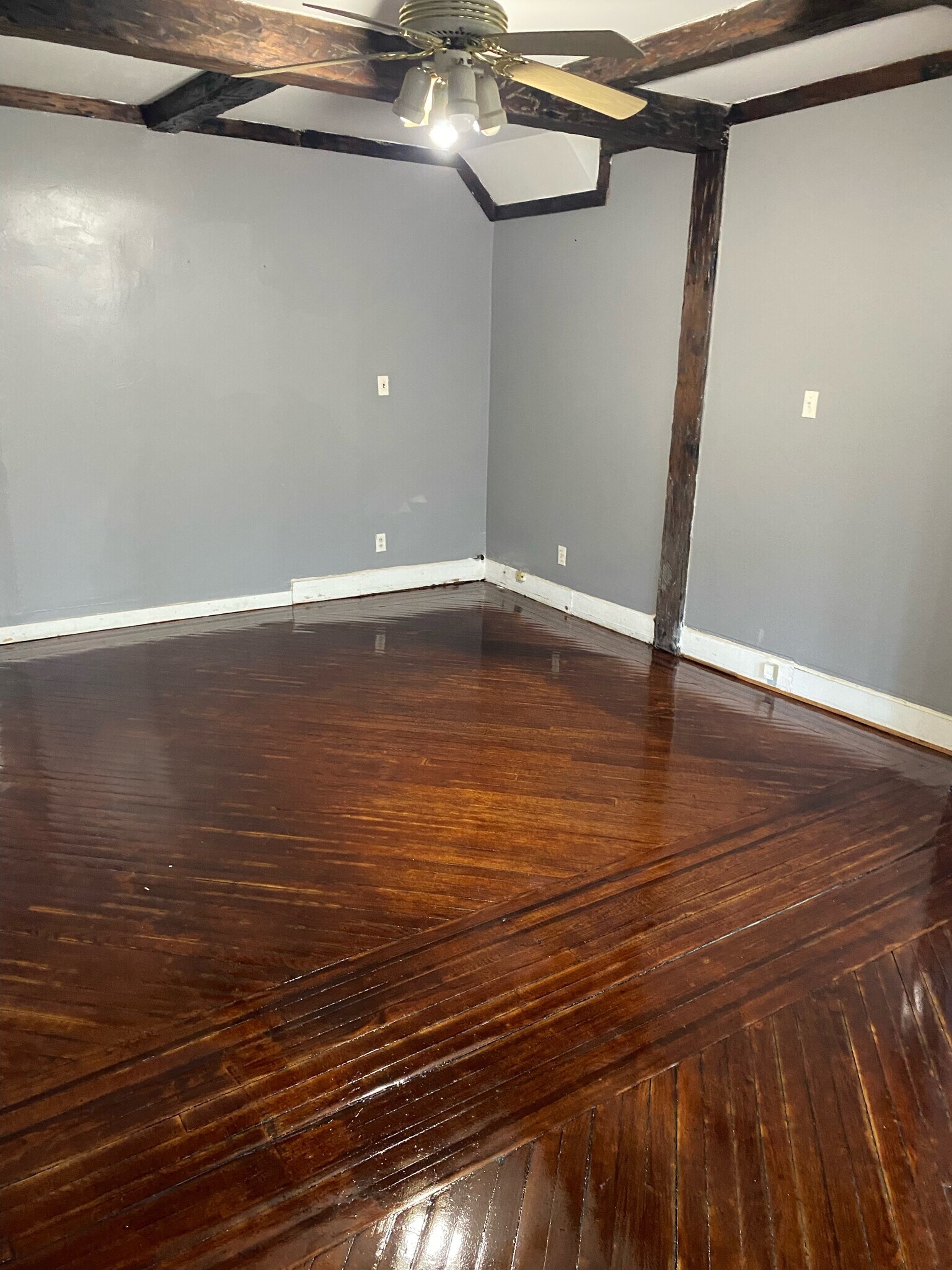 Building Photo - 421 Halsted St