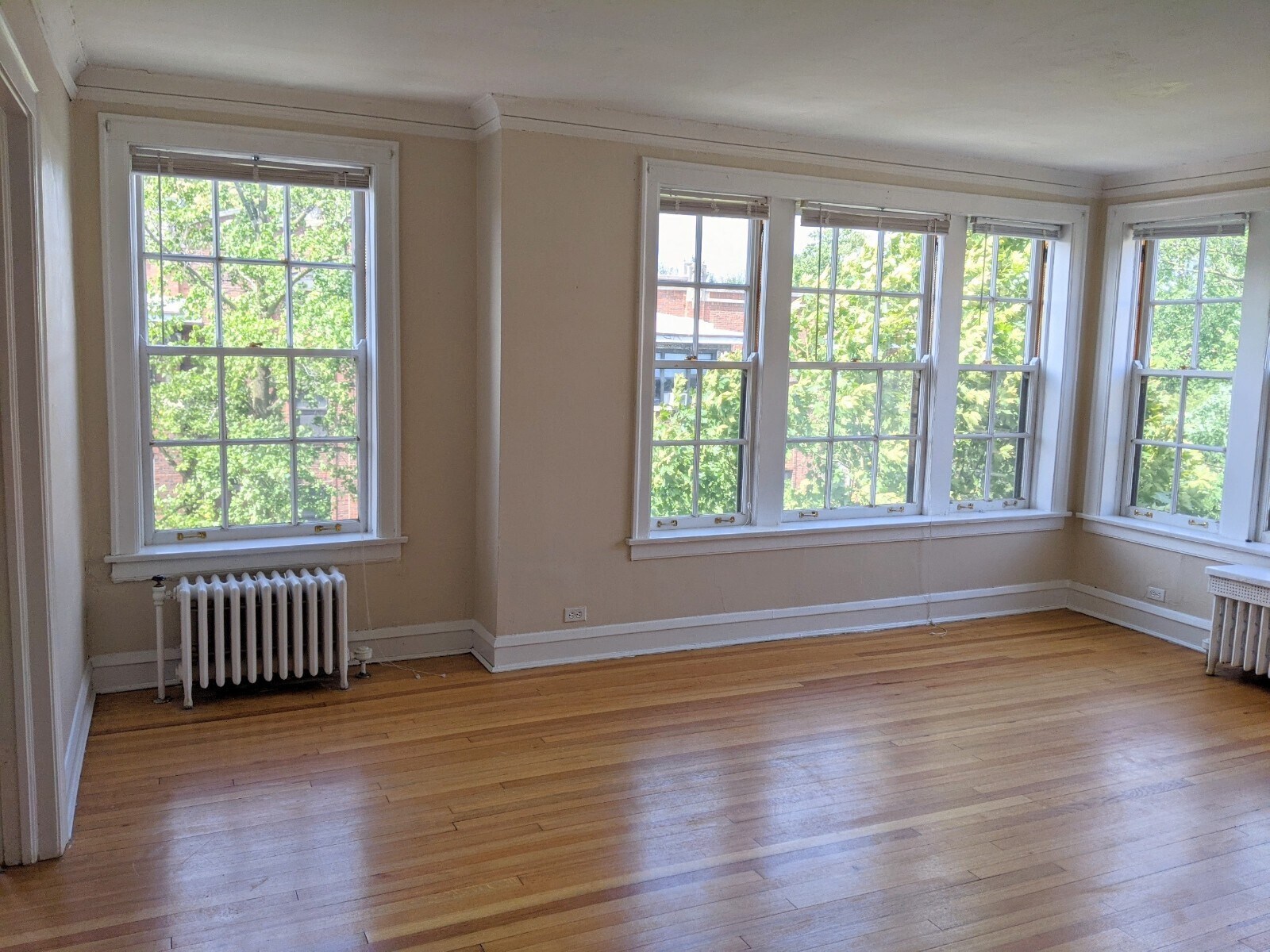 Building Photo - 905 Elmwood Ave