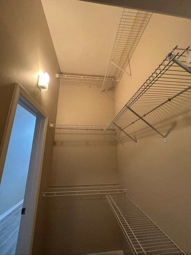 MASTER BEDROOM DOUBLE WIDE DOUBLE HIGH CLOSET - 333 Julia St