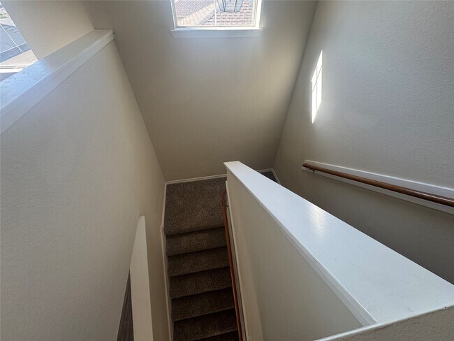 Building Photo - 21835 Mossy Field Ln