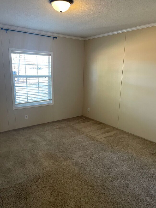 Building Photo - Country Living at it's Finest!