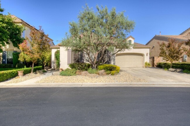 Building Photo - 1087 Loyola Ave