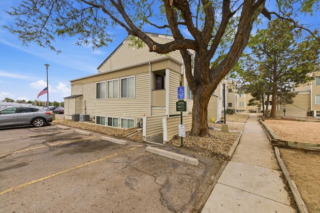 Building Photo - Beautiful Totally Remodeled Studio Home - Available Immediately!