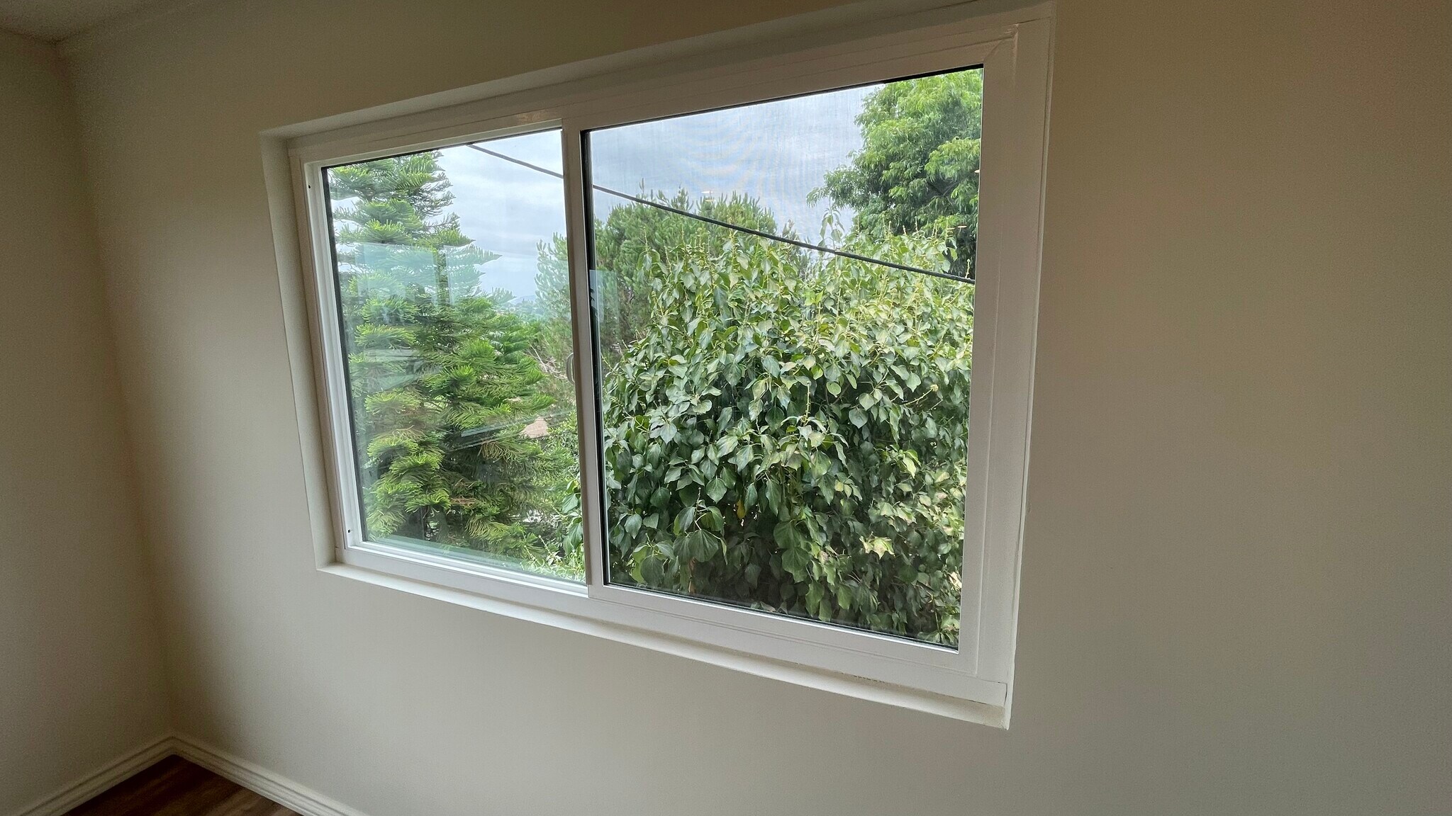 North facing window- living room - 1320 Mohawk St
