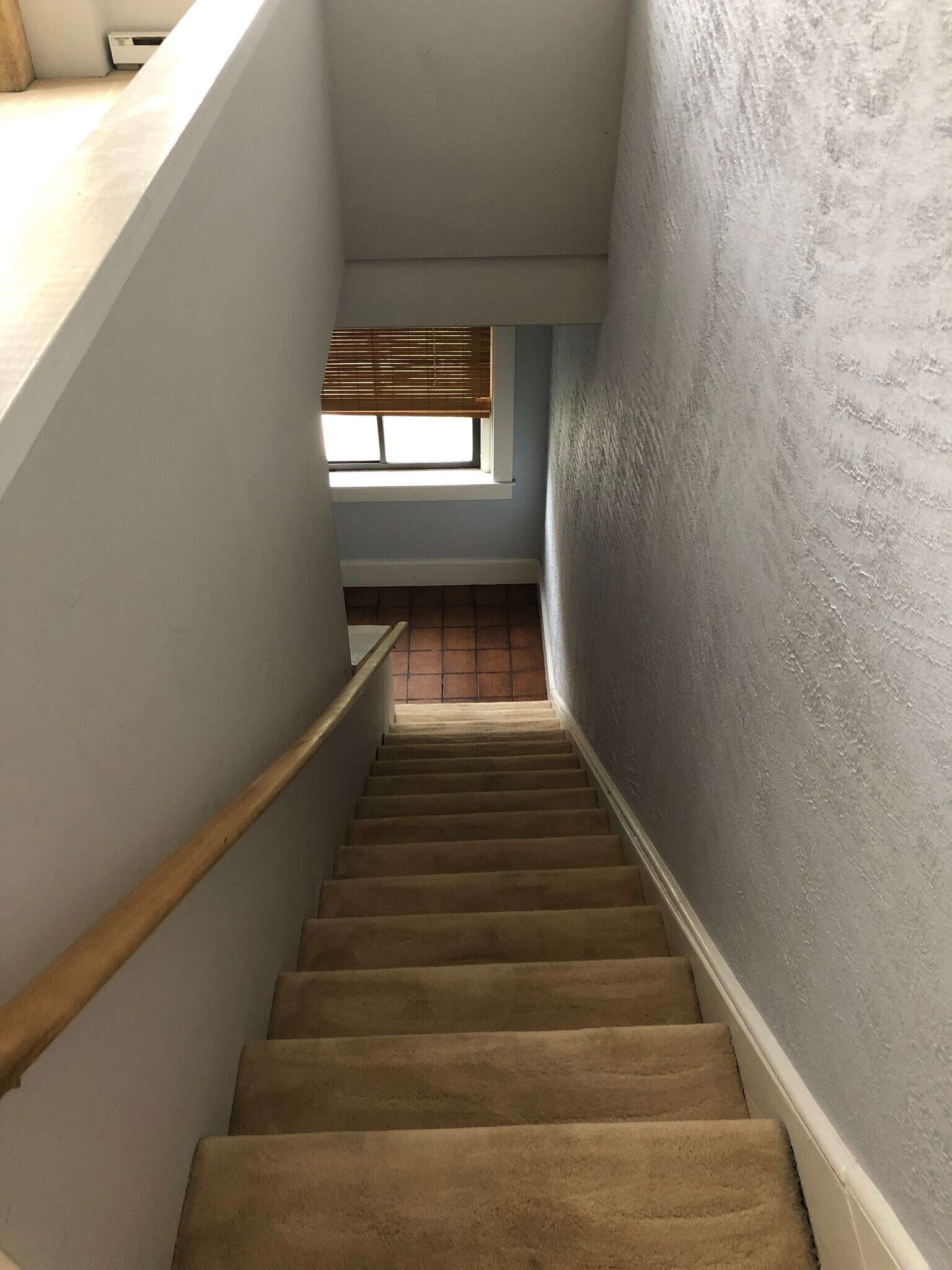 Carpeted Internal Stairway up to 3rd Floor - 367 Lehigh Ave