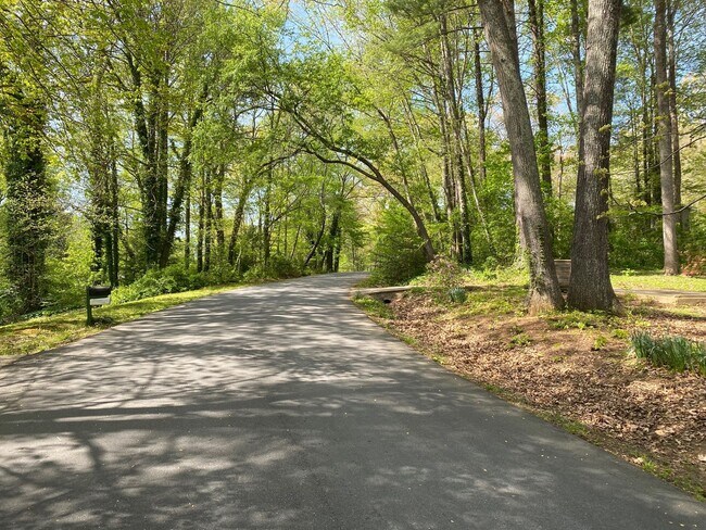 Building Photo - East AVL - Mid Century Modern Beauty in Botany Woods!