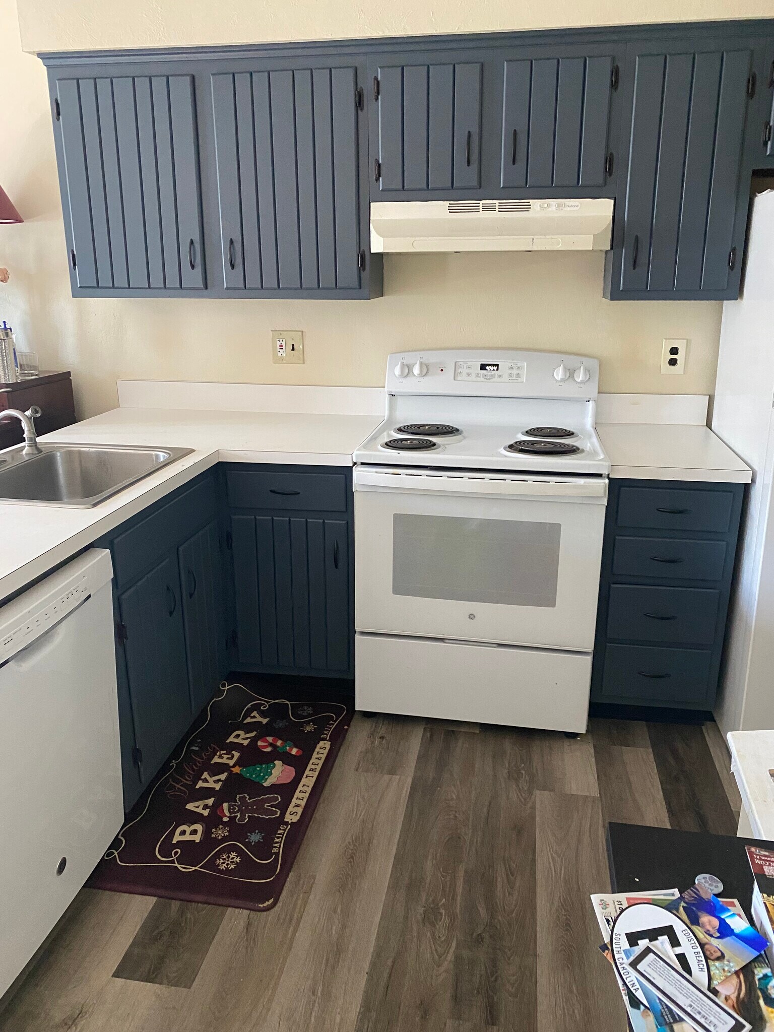 Kitchen (has new stainless steel dishwasher) - 500 Campbell Cir