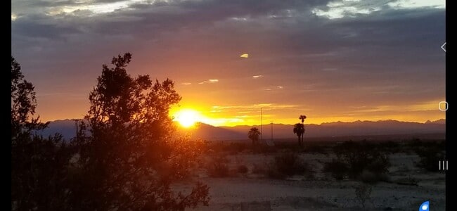 Building Photo - For Rent – Private Desert Retreat in Wonder Valley