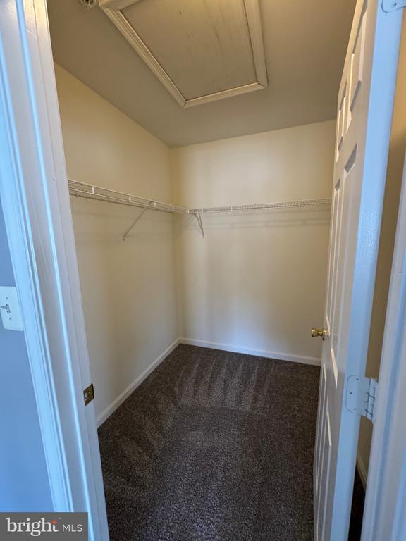 Building Photo - 1402 Blue Heron Dr