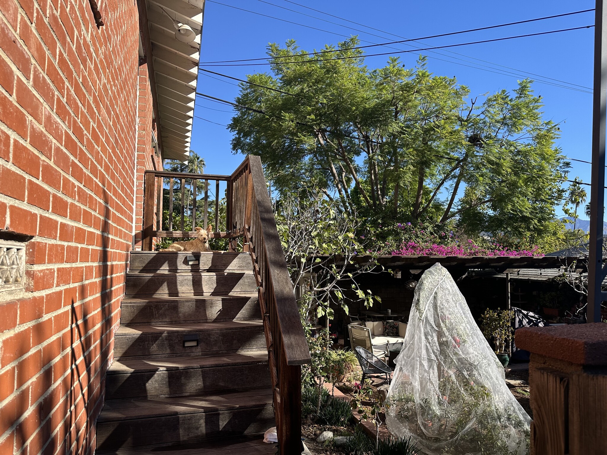 Building Photo - 4680 College View Ave