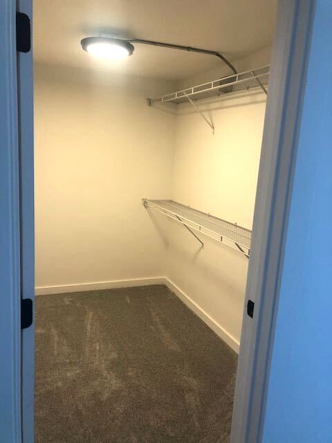 Walk-in closet, back bedroom - 6534 W Lake St