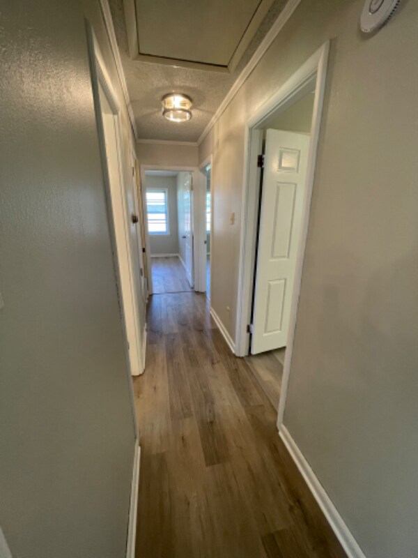 Building Photo - 219 Sterlington Dr