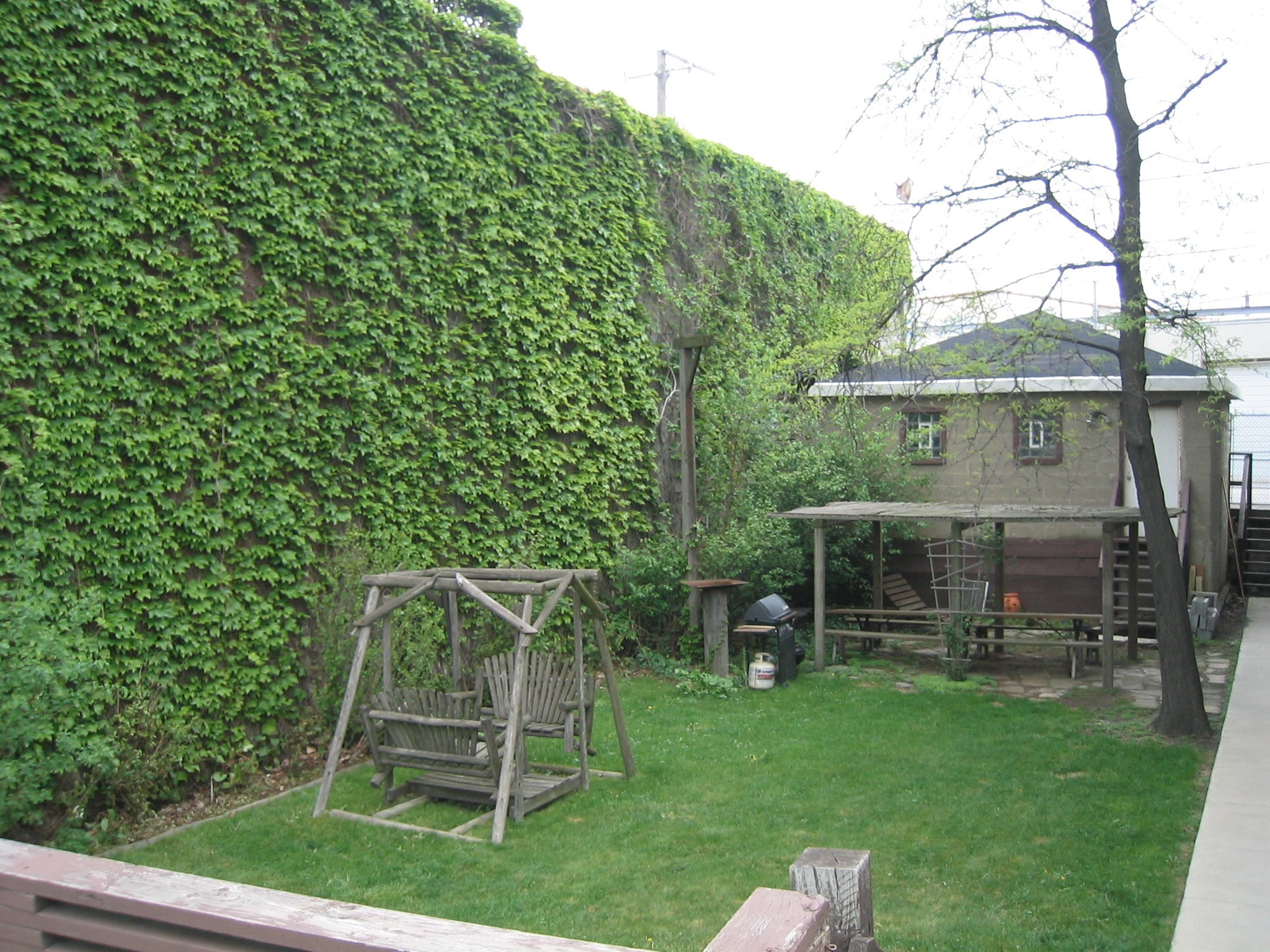 yard - 1507 Elston N Ave