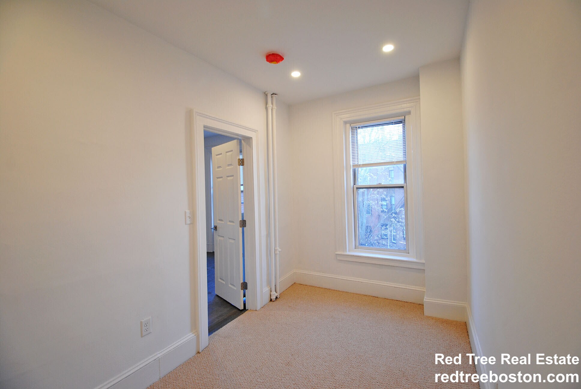 Building Photo - 225 Newbury St