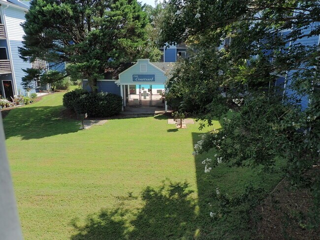 Enjoy ample outdoor space for recreation and exercise. - 4210 Wilshire Blvd