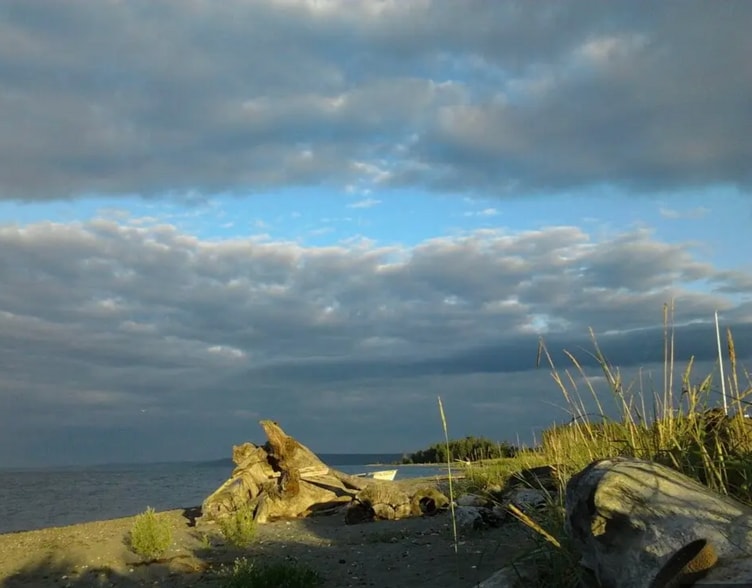 Building Photo - 183 W Anderson Rd