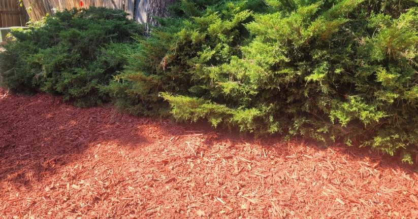 BackYard - 18863 east milan