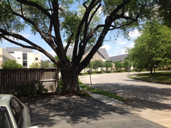 Building Photo - 515 Tallowood Rd