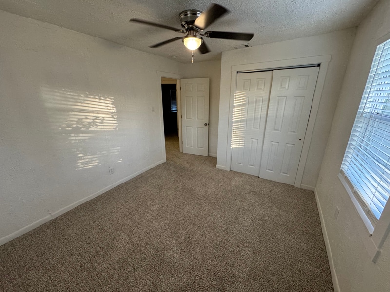 Building Photo - 203 Shelter Ln