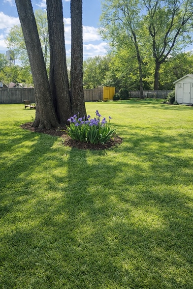 Yard - 1029 Washington Ave