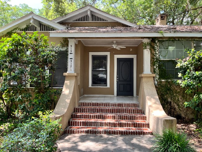 Primary Photo - 517 E Amelia St