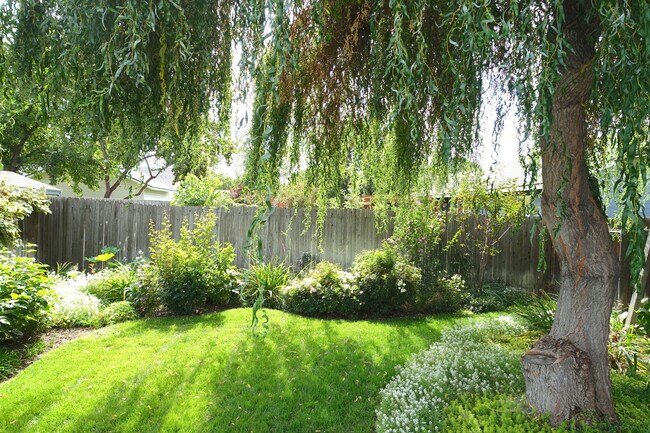Building Photo - Three-Bedroom with Great Back Yard