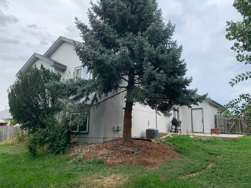 Building Photo - 563 Sundisk Dr