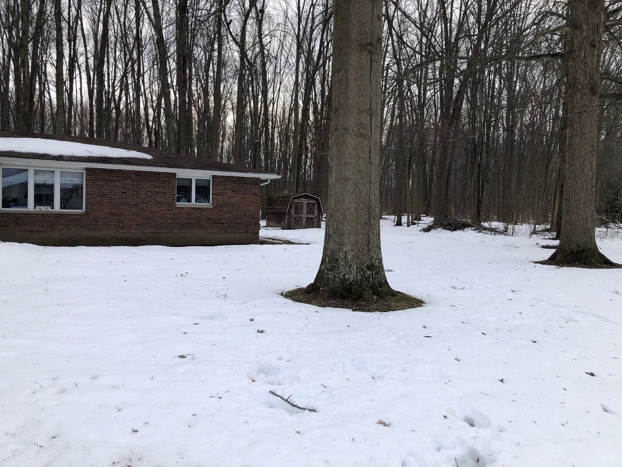 Building Photo - 36287 Behm Dr