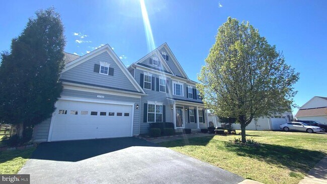 Primary Photo - 11705 Hopyard Drive