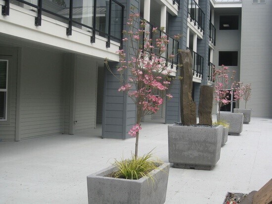 Building Photo - Desired Location in Kirkland - 2 Bedroom 2...