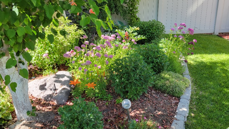 Building Photo - 807 Whisper Cove Rd