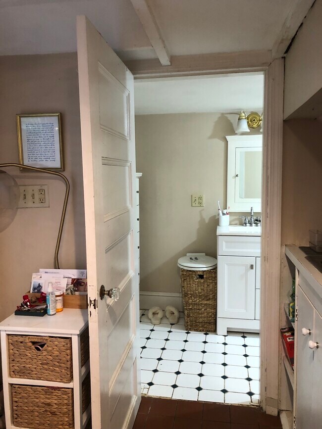 into bathroom - 40 Sumner St