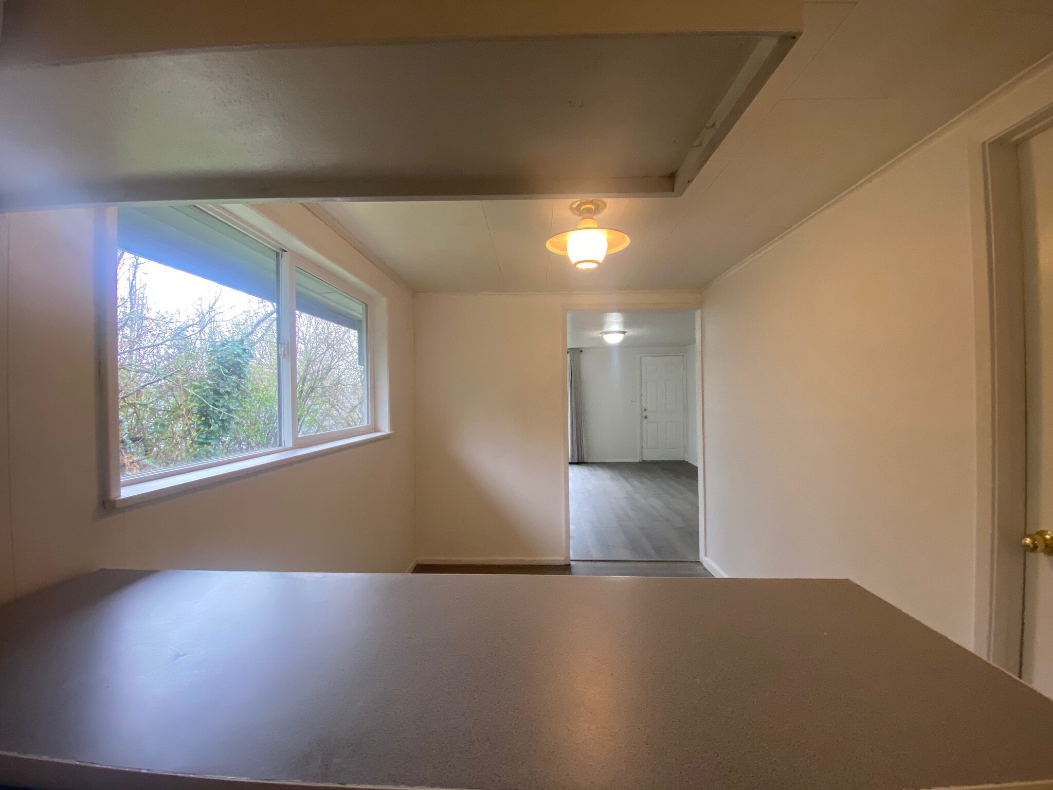 Unit 1 Dining - 11636 59th Ave S