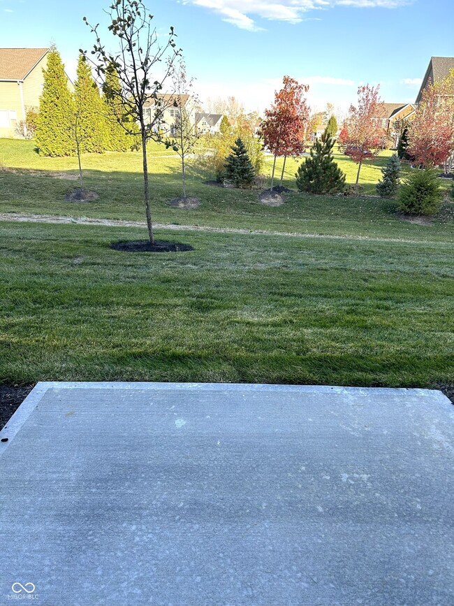 Building Photo - 3277 Haflinger Dr