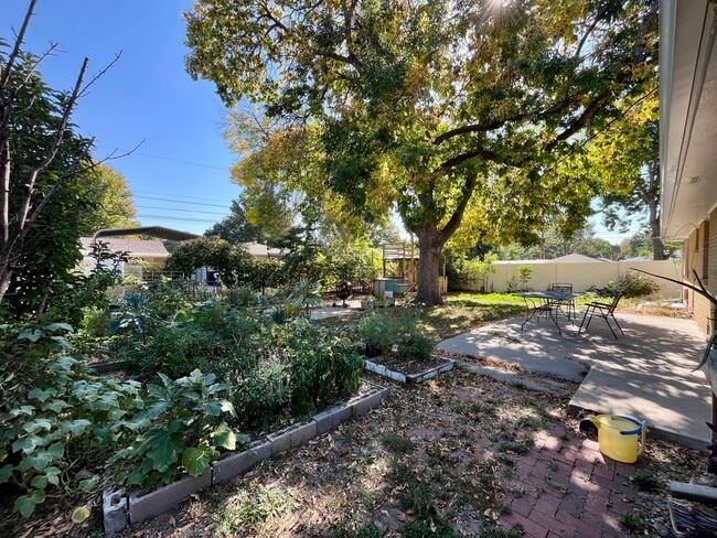 Building Photo - 3 Bedroom ranch w/ garden in the Heart of Longmont!