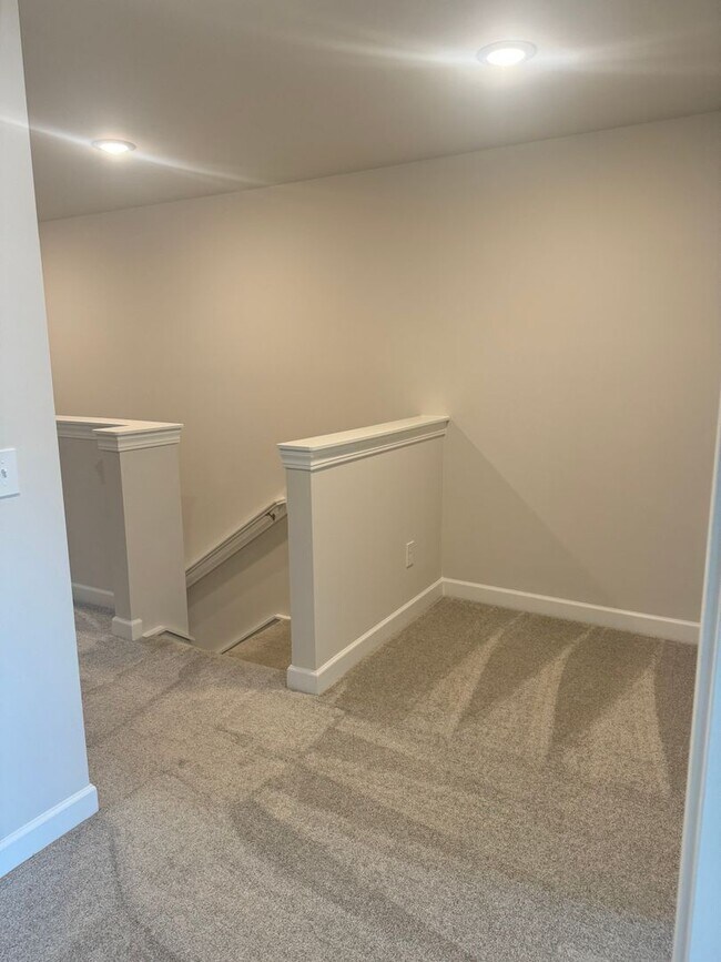 Building Photo - Brand New Luxury Living!