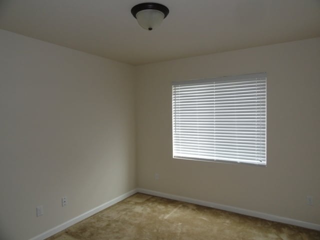 Building Photo - Newer 3 Bedroom 2 Bath Home in Tacoma