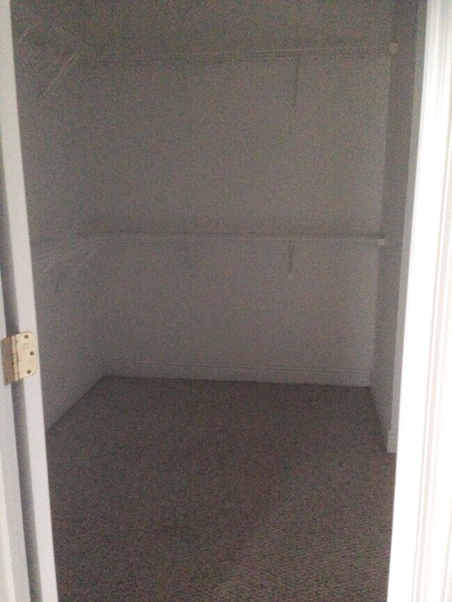 walk in closet - 100 Pine Shoals Trl