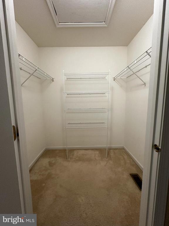 Building Photo - 147 Fringetree Dr