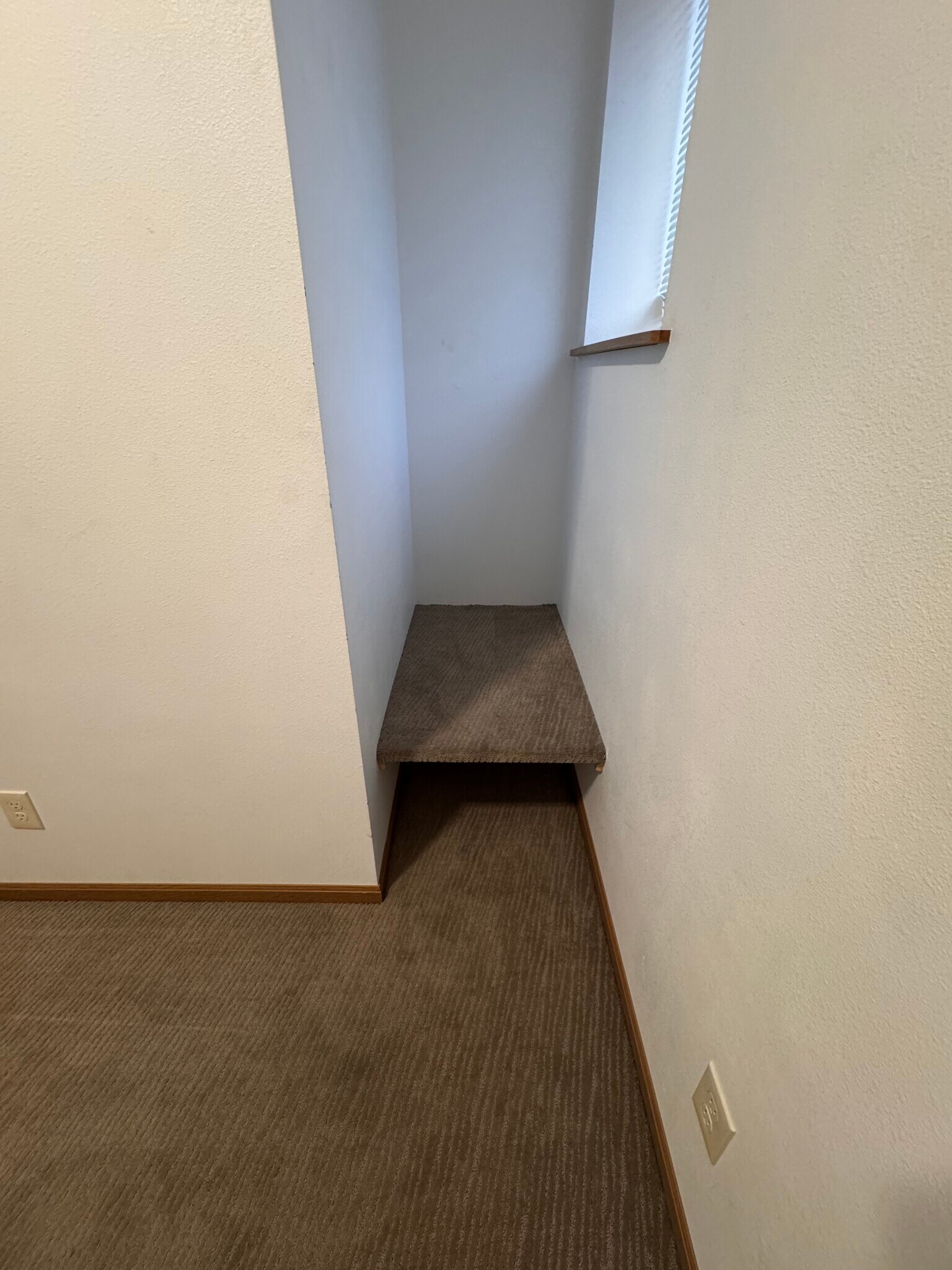 In the 2nd Bedroom - 123 E 3rd St